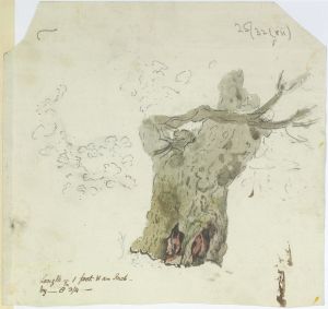 ?RIBBESFORD (Worcestershire): Tree